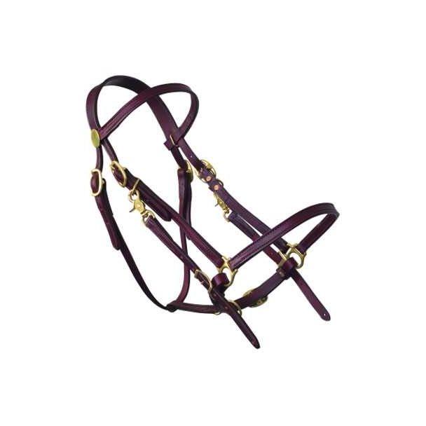 Halter Bridle Lite - Arab