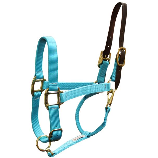 Premium Nylon Breakaway Halter 1"