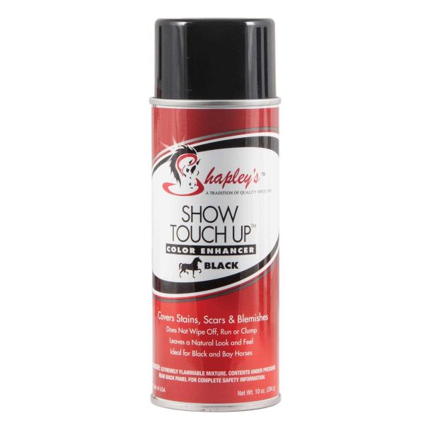 Touch Up Spray Black