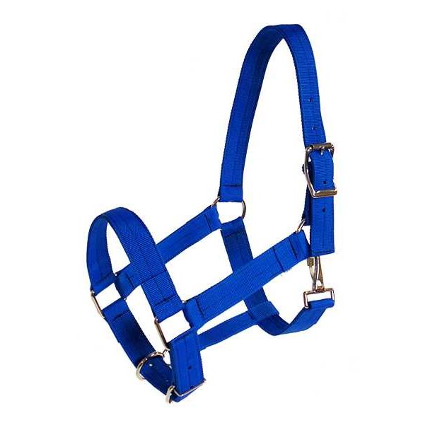 Draft Halter