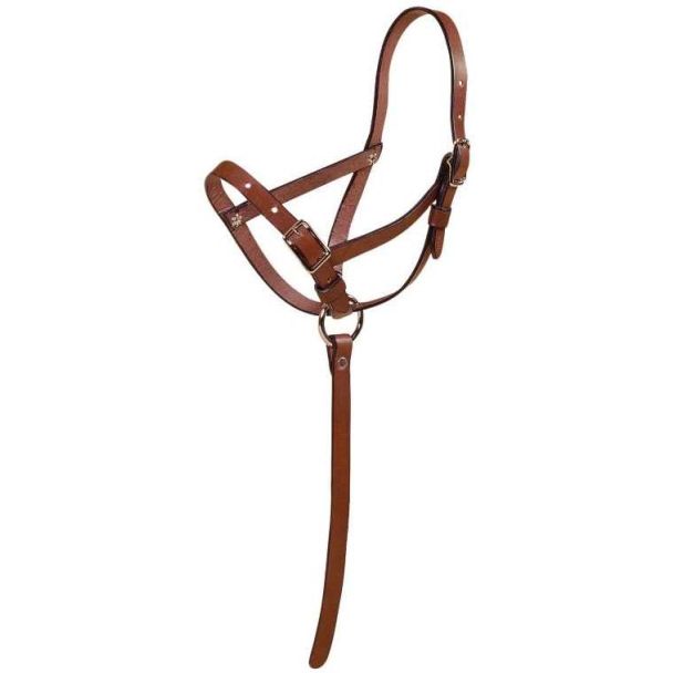 Tory Leather Foal Slip Halter with Grab Strap