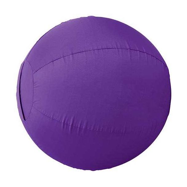 Stacy Westfall Activity Ball Cover