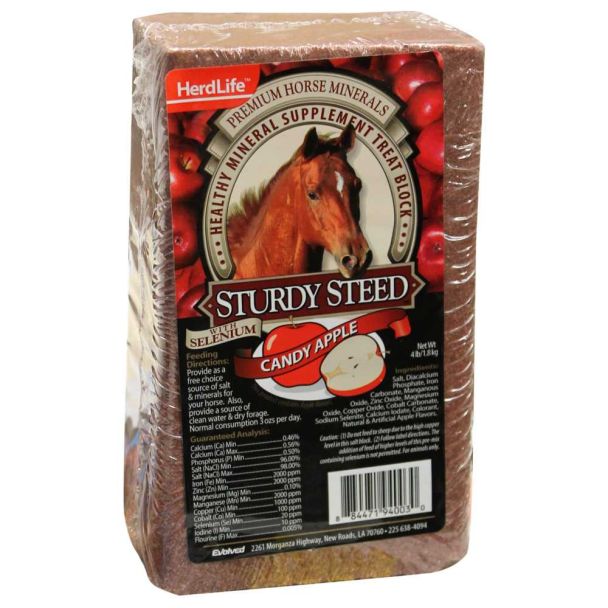 Sturdy Steed Candy Apple Mineral Supplement Treat Block