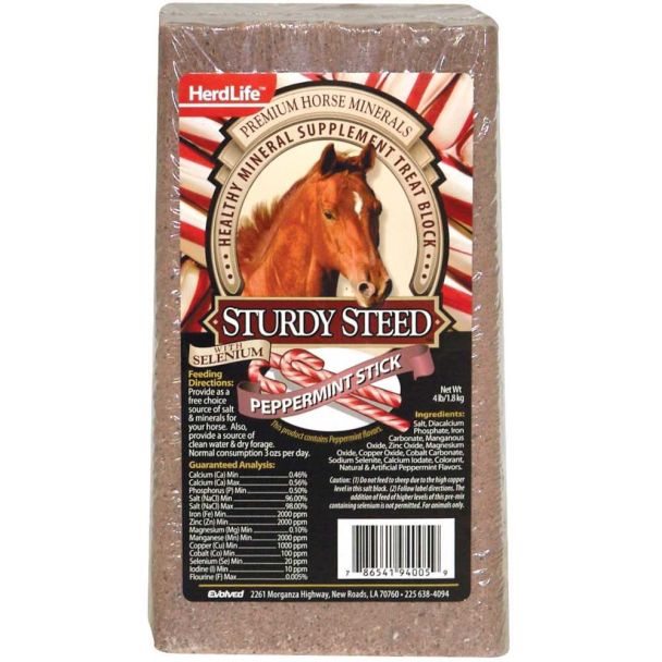 Sturdy Steed Peppermint Mineral Supplement Treat Block