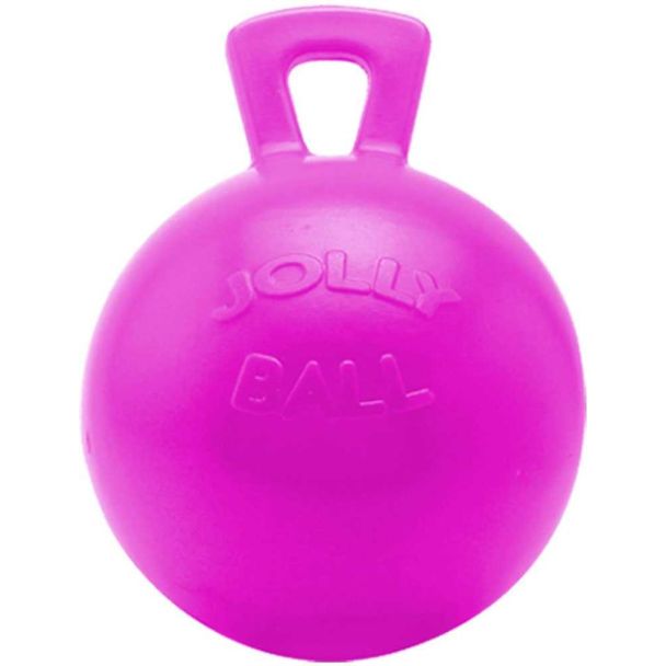 Jolly Ball Horse Toy - Assorted Scents