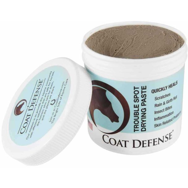 Coat Defense Trouble Spot Drying Paste 10 oz.