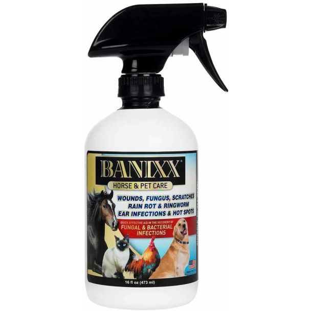 Banixx Horse & Pet Care 16oz