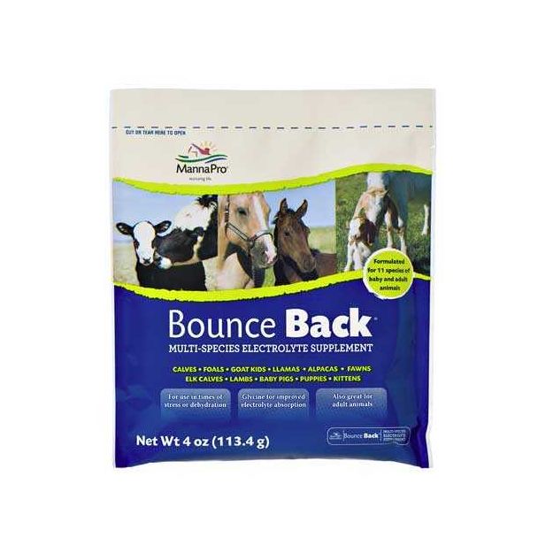 Bounce Back 4 Oz Single Serve Pouch