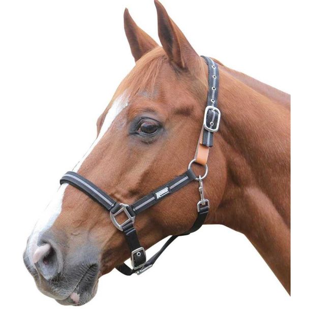 Roma Reflective Breakaway Halter