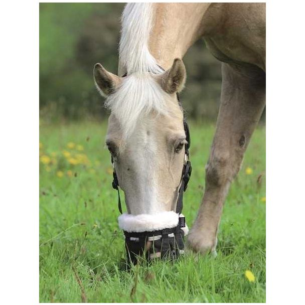 Fleece Lined Grazing Muzzle