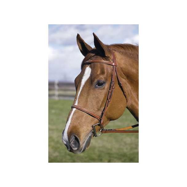 Henri De Rivel Pro Fancy Raised Bridle W/ Laced Reins