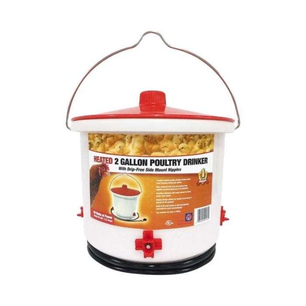 Farm Inovators 2 Gallon Heated Poultry Drinker