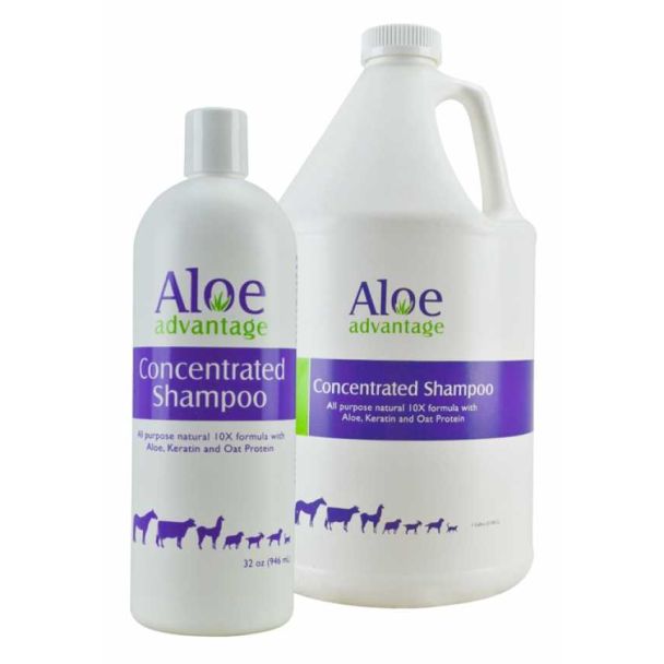 Aloe Advantage Concentrated Shampoo 32 OZ.