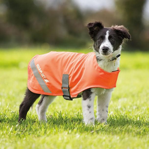 Equiflector® Dog Safety Vest