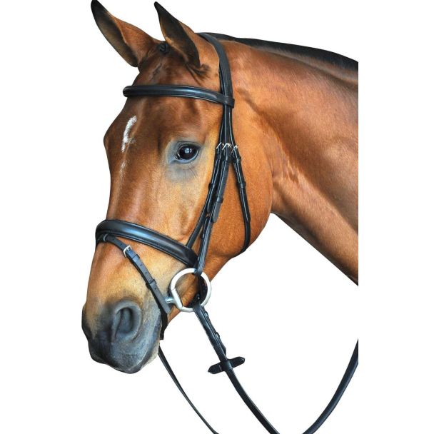 Collegiate CC Pad Raised Flash Bridle