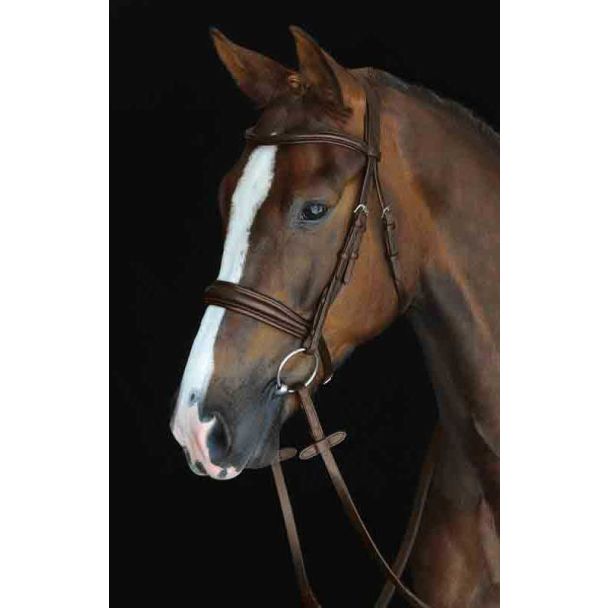 Collegiate Mono Crown Padded Raised Cavesson Bridle