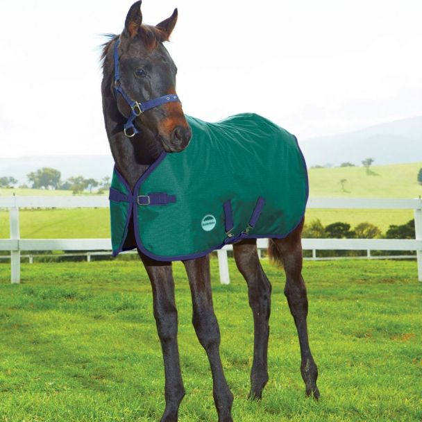 WeatherBeeta 1200D Foal Standard Neck Medium II - Hunter/Navy