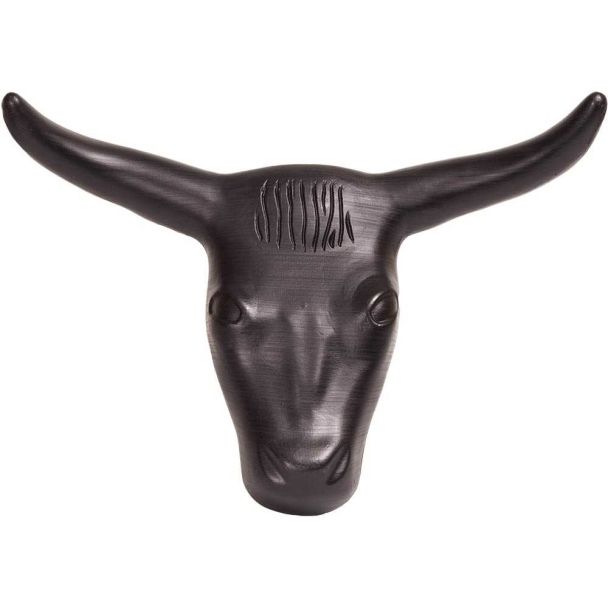 Steer Head  