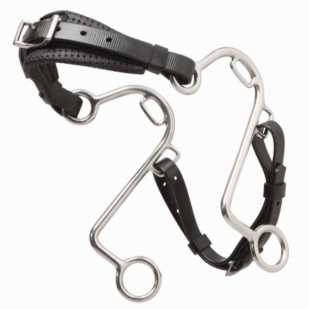 Zilco S Hackamore Back Ordered Till Mid November 2020