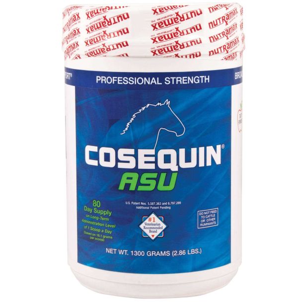 Cosequin ASU Powder 1300 Gram