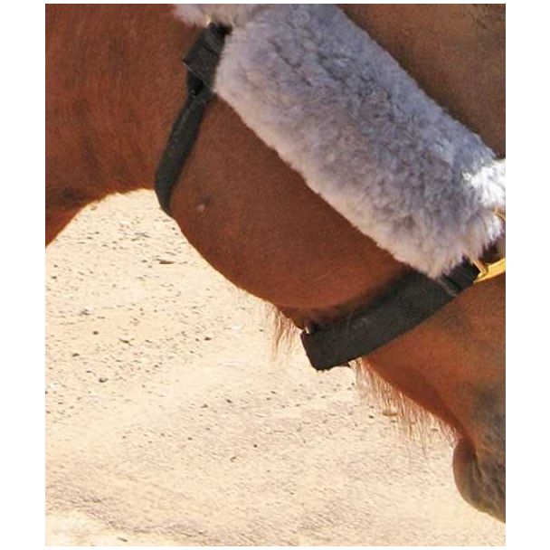 6 inch Long Merino Sheepskin Cheek Pads Horse Halter or Bridle, Pair