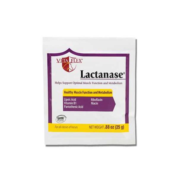 Lactanese Packets 25 mg