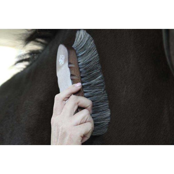 Dandy Horse Hair Brush - Wood Series 