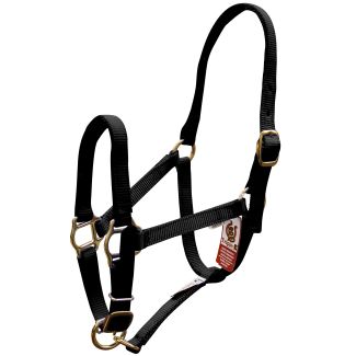 Premium Mini Nylon Halter