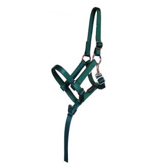 Premium Nylon Foal Halter 