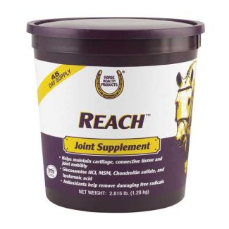 Reach Joint Supplement 2.8 lb