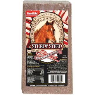 Sturdy Steed Peppermint Mineral Supplement Treat Block