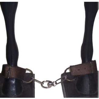 Hobbles with Chain 