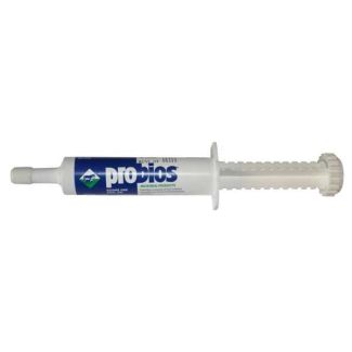 Probios Paste: 30 gm