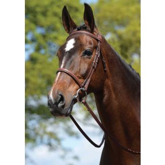 Kincade Padded Plain Raised Bridle