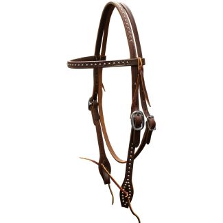 Spotted Browband