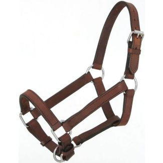 Royal King Miniature Leather Halter