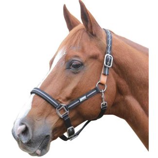 Roma Reflective Breakaway Halter