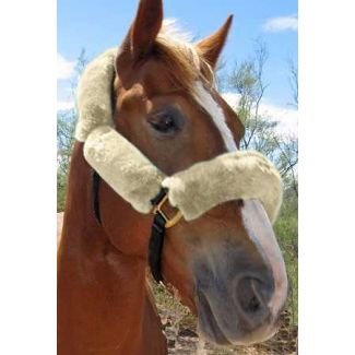 4 piece JMS Sheepskin Horse Halter Pad Set Bridle Cover