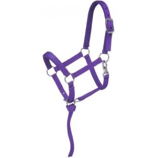 Nylon Padded Miniature Halter