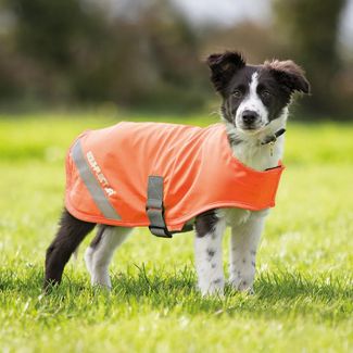 Equiflector® Dog Safety Vest