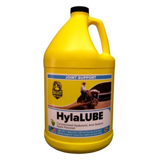 Hylalube Gallon Liquid 