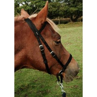 Dr Cook Bitless Bridle Nylon