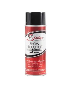 Touch Up Spray Black