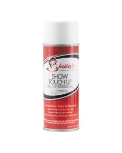  Touch Up Spray White