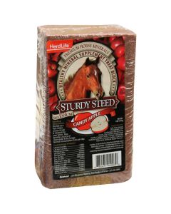 Sturdy Steed Candy Apple Mineral Supplement Treat Block