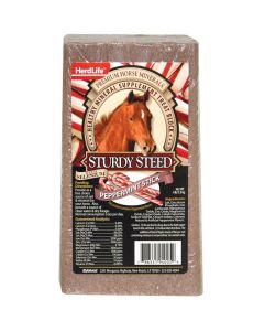 Sturdy Steed Peppermint Mineral Supplement Treat Block