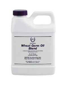 Fortified Wheat Germ Oil Blend Gallon