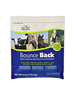 Bounce Back 4 Oz Single Serve Pouch