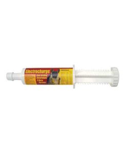 Electro-Charge Syringe