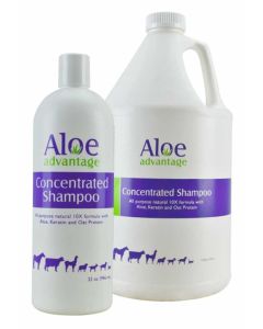 Aloe Advantage Concentrated Shampoo 32 OZ.